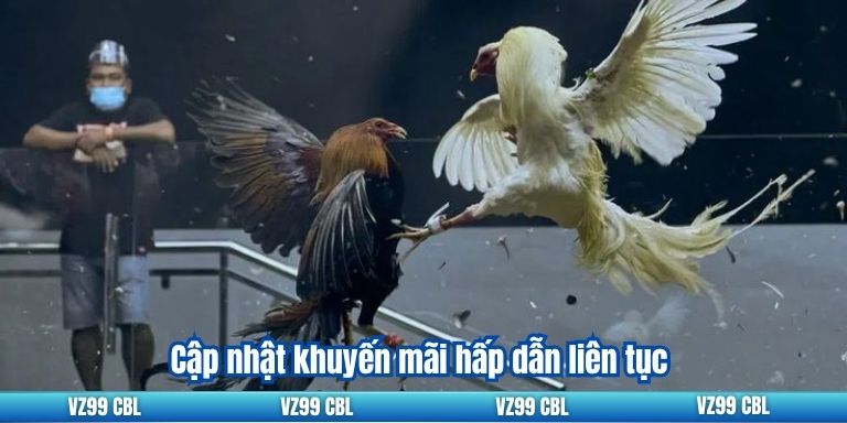 Đá Gà Cựa Dao Tại VZ99: Thiên Đường Cho Người Chơi 3 Cập nhật khuyến mãi hấp dẫn liên tục