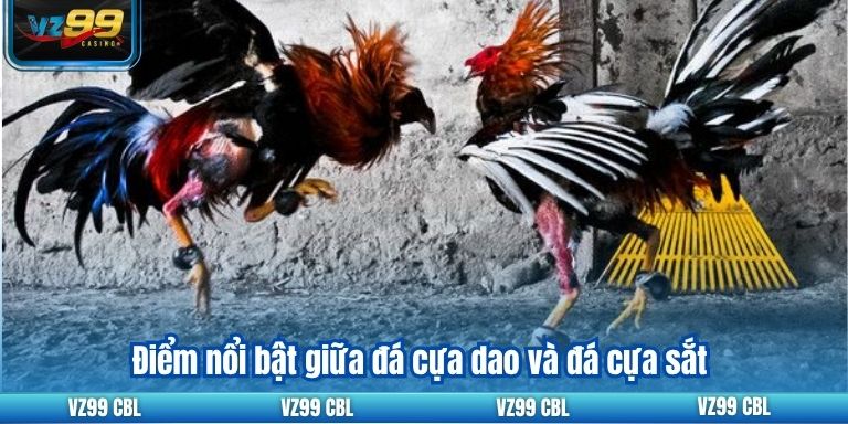 Đá Gà Cựa Dao Tại VZ99: Thiên Đường Cho Người Chơi 2 Điểm nổi bật giữa đá cựa dao và đá cựa sắt
